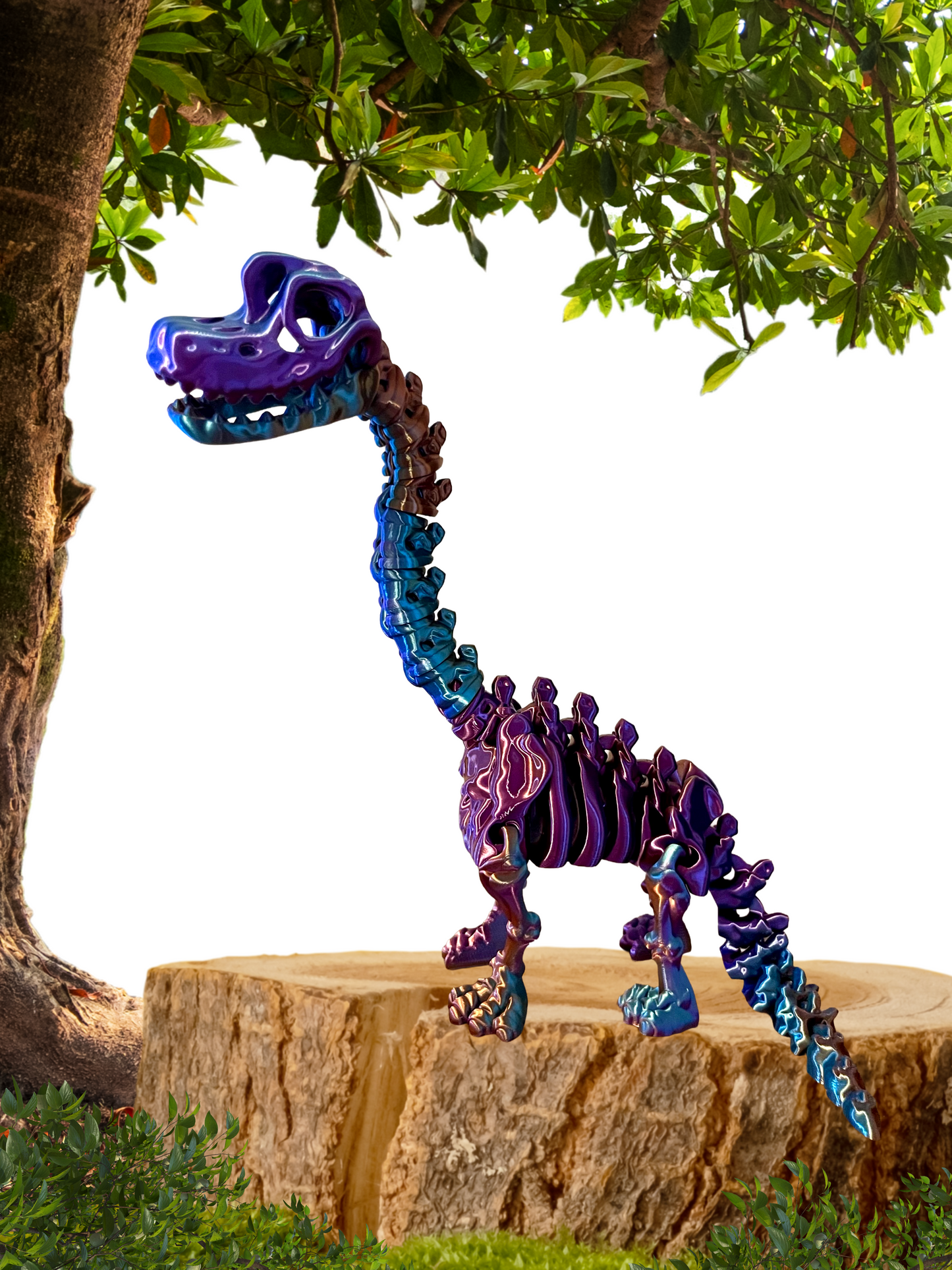 Brachiosaurus