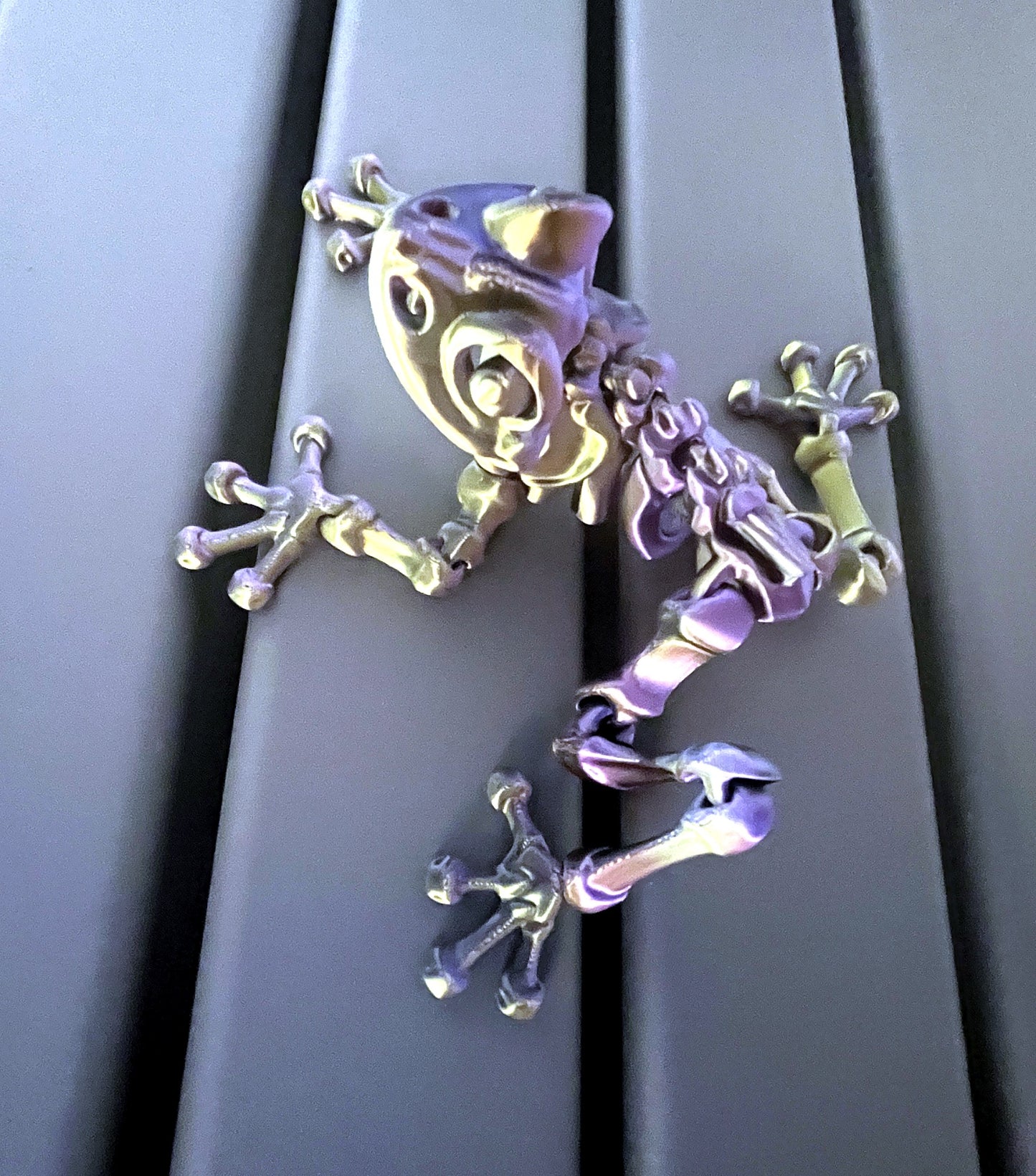 Magnetic Skeleton Frog