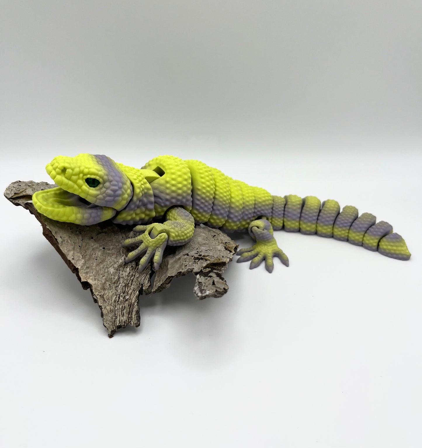Gila Monster
