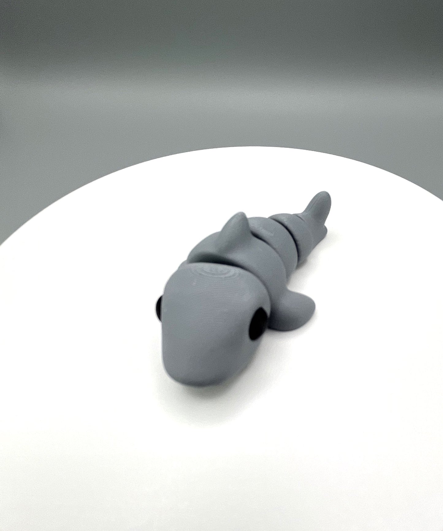 Shark Mini