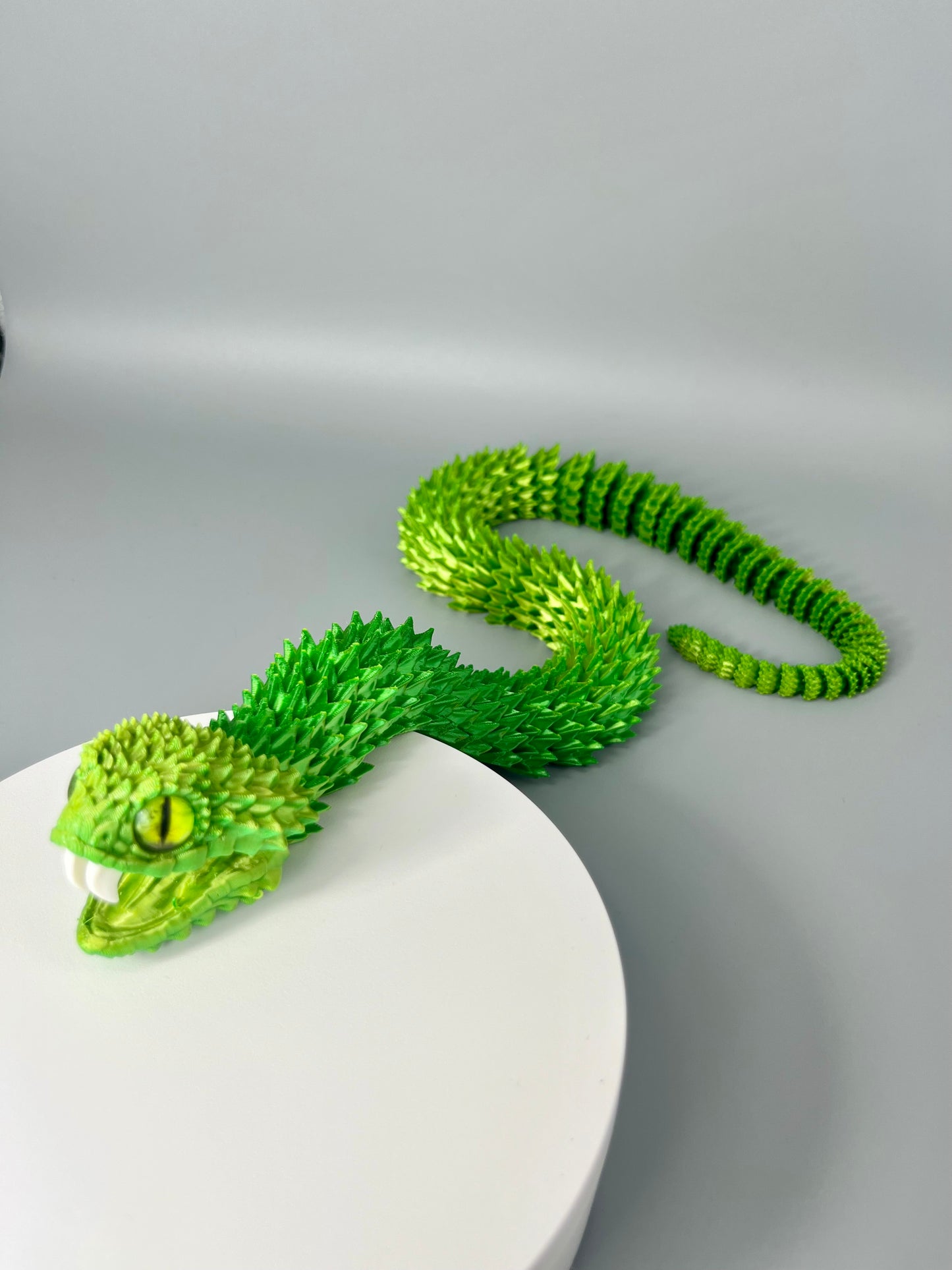 Bush Viper