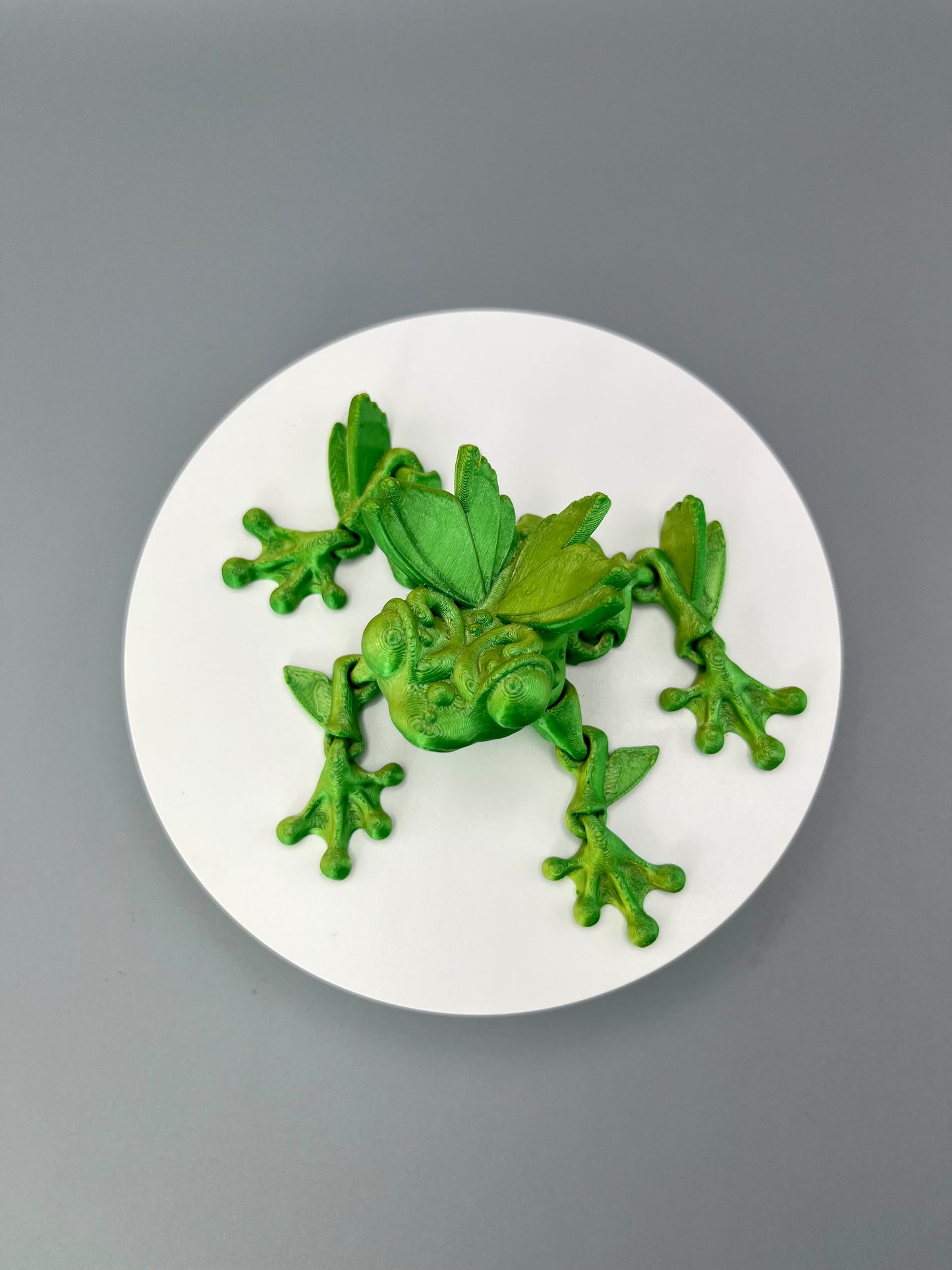 Butterfly Frog