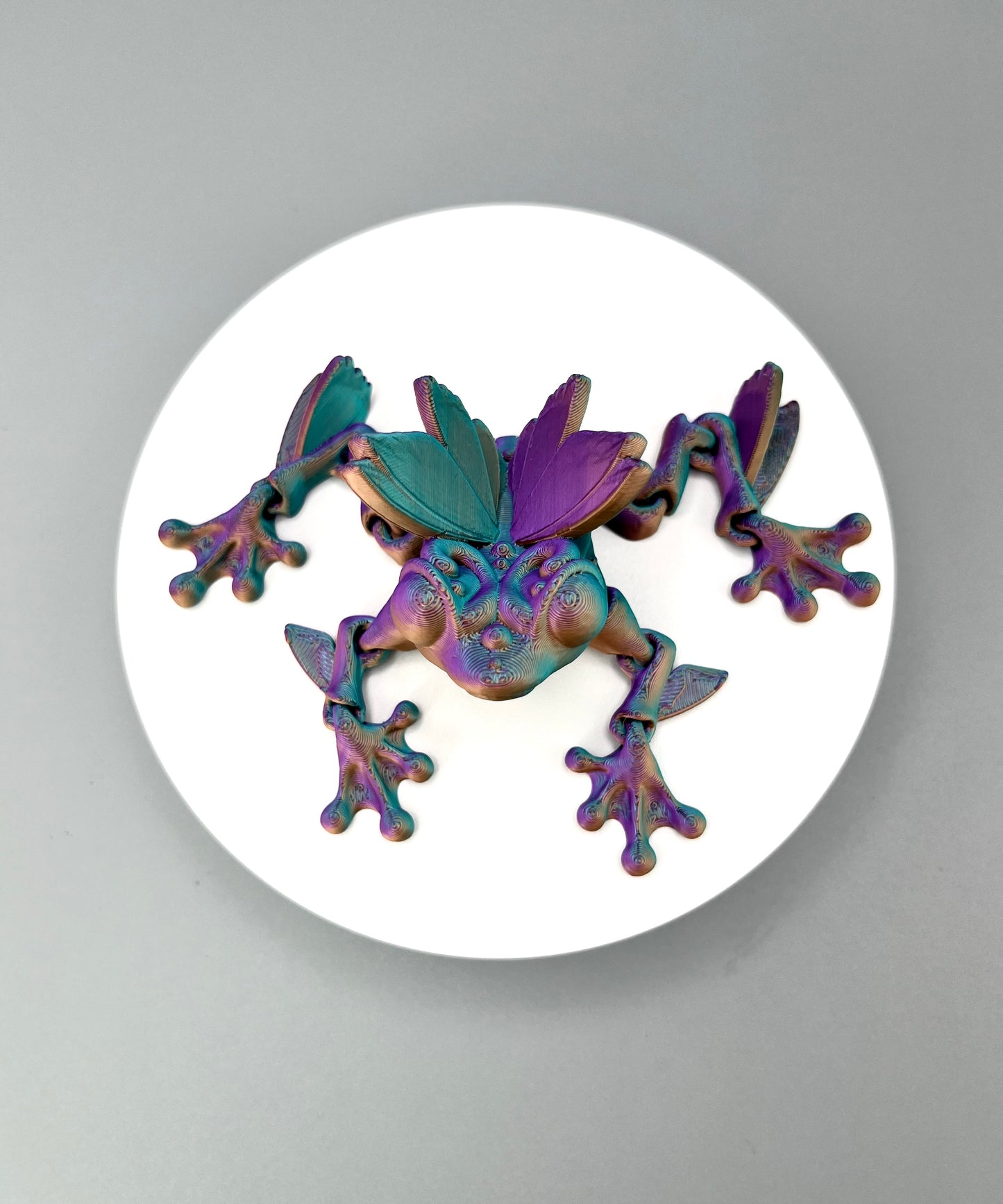 Butterfly Frog