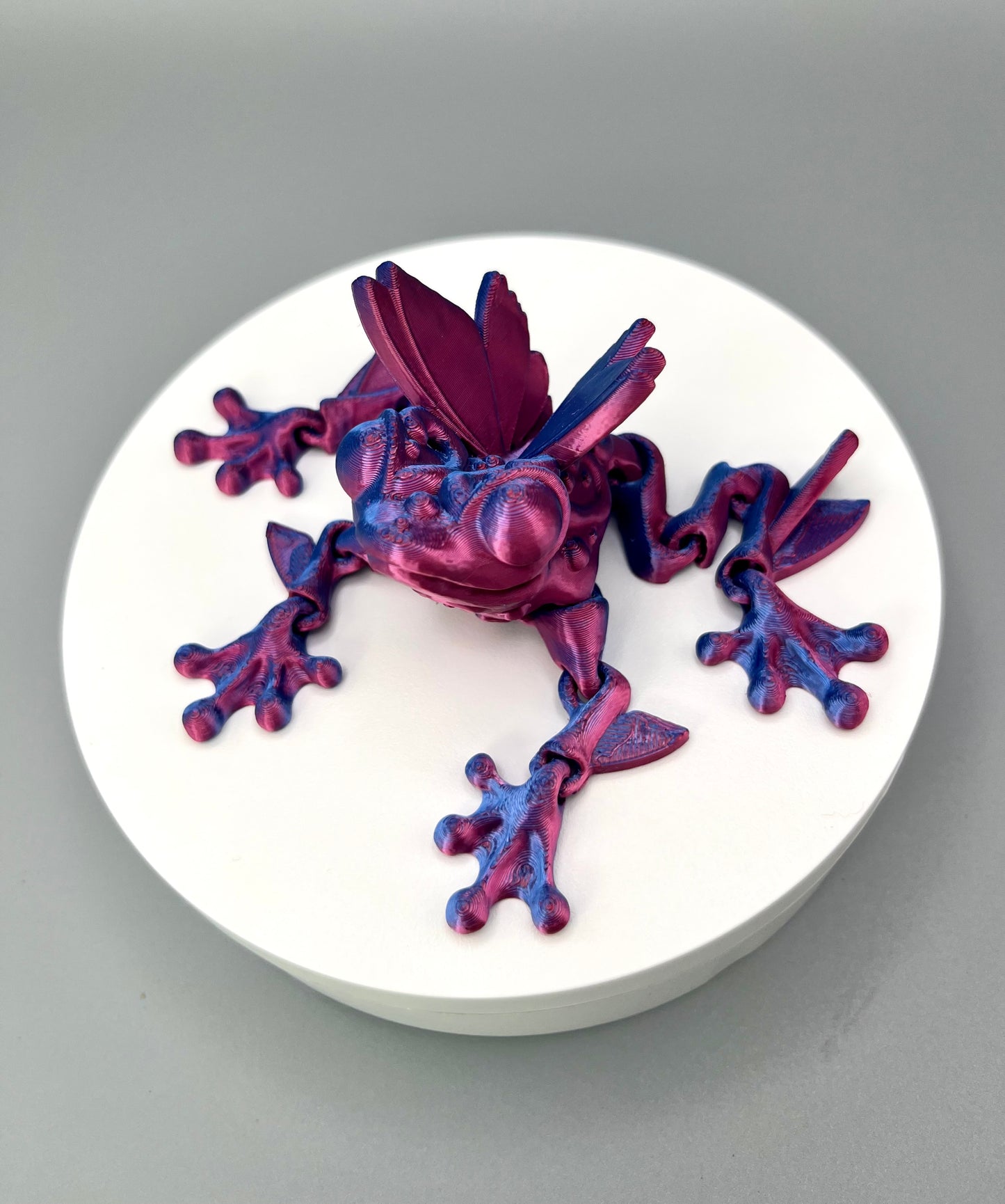 Butterfly Frog