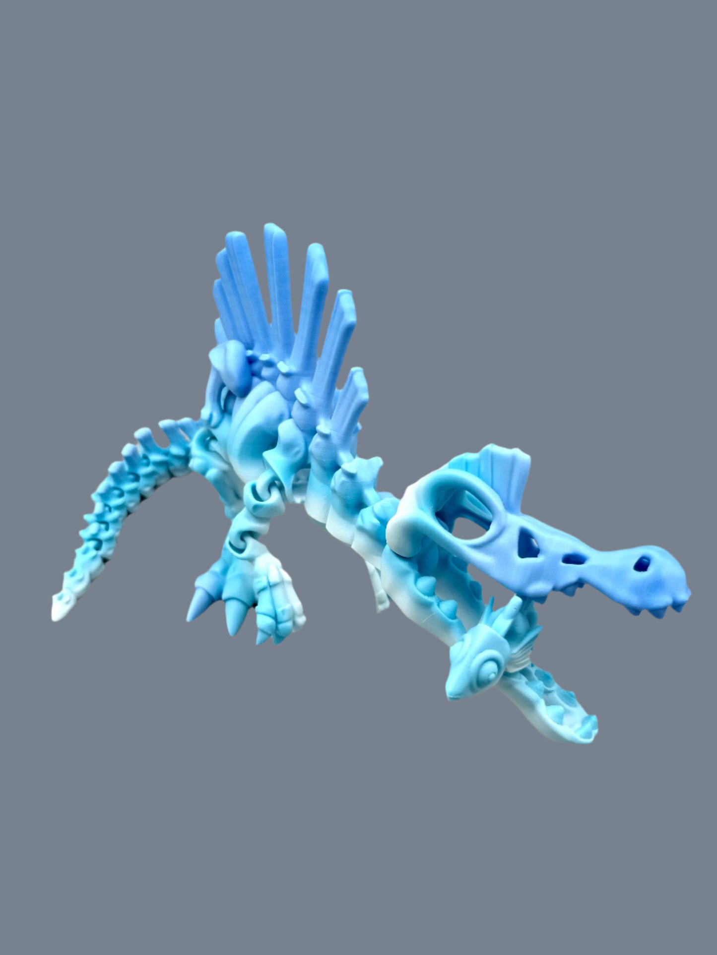 3D Printed skeleton Spinosaurus with articulation, open mouthed and a fish in his jaws
