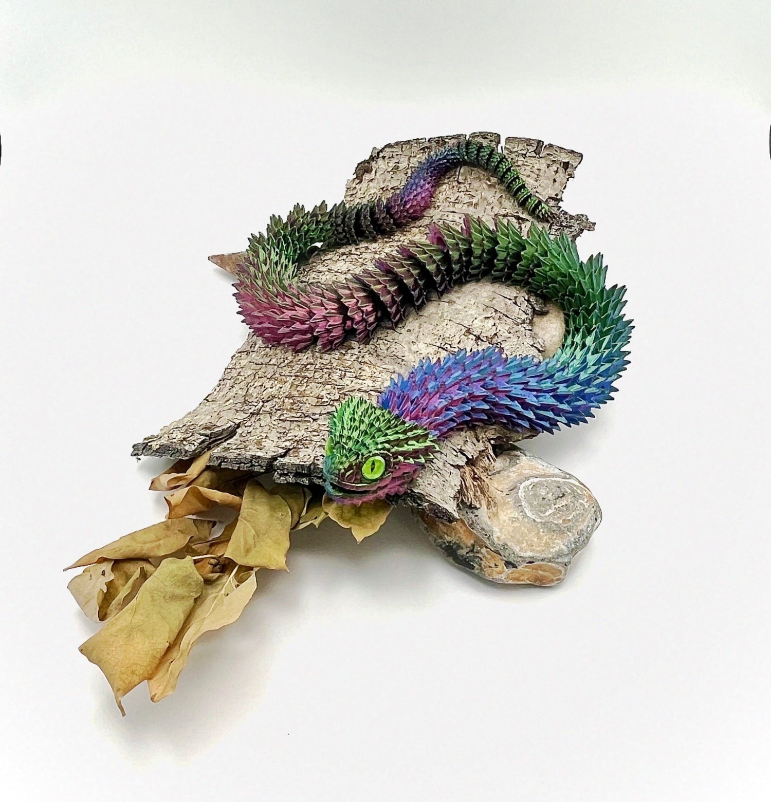 Snakes, Lizards & Crocodiles