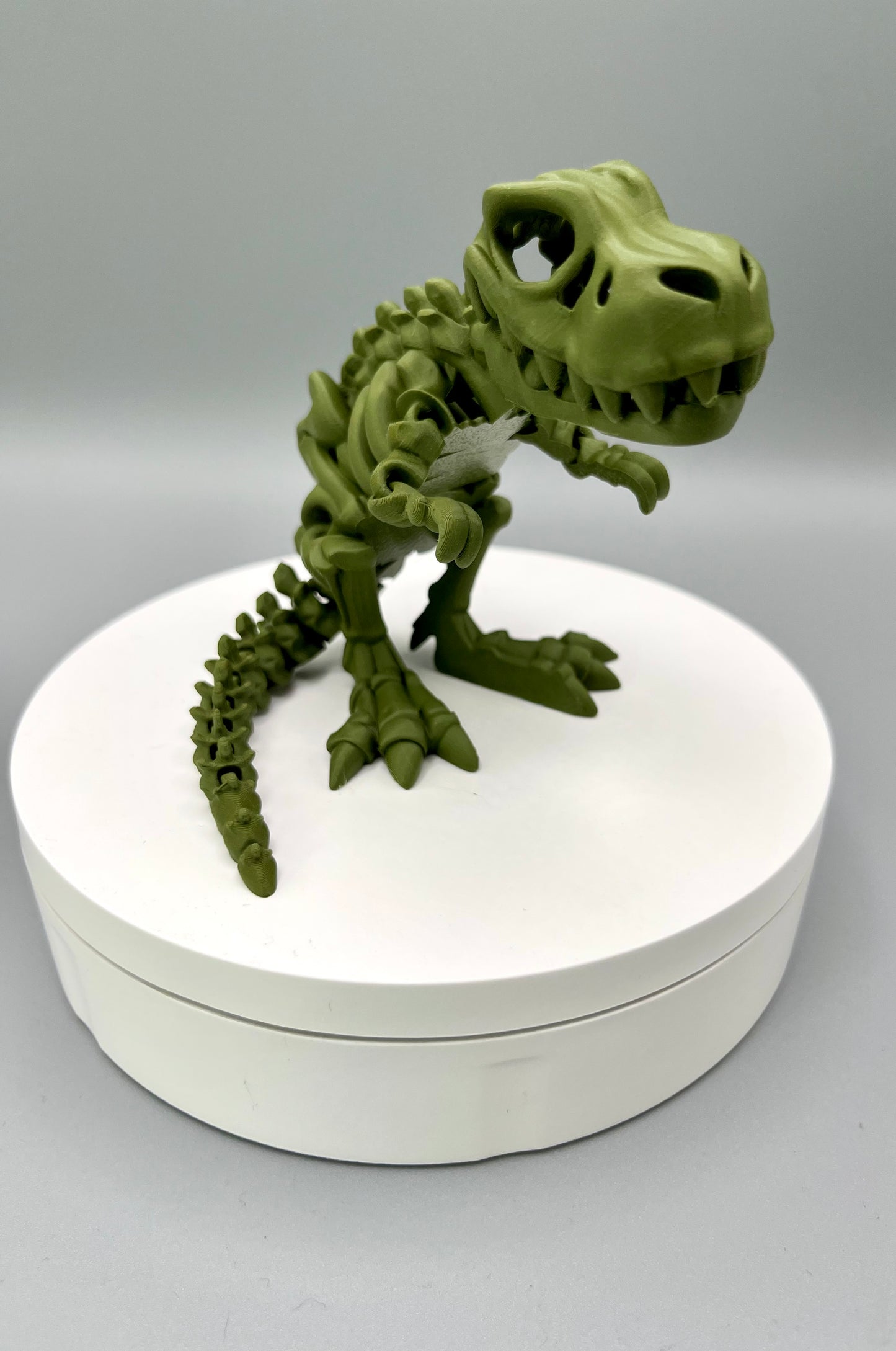 T-Rex - Small