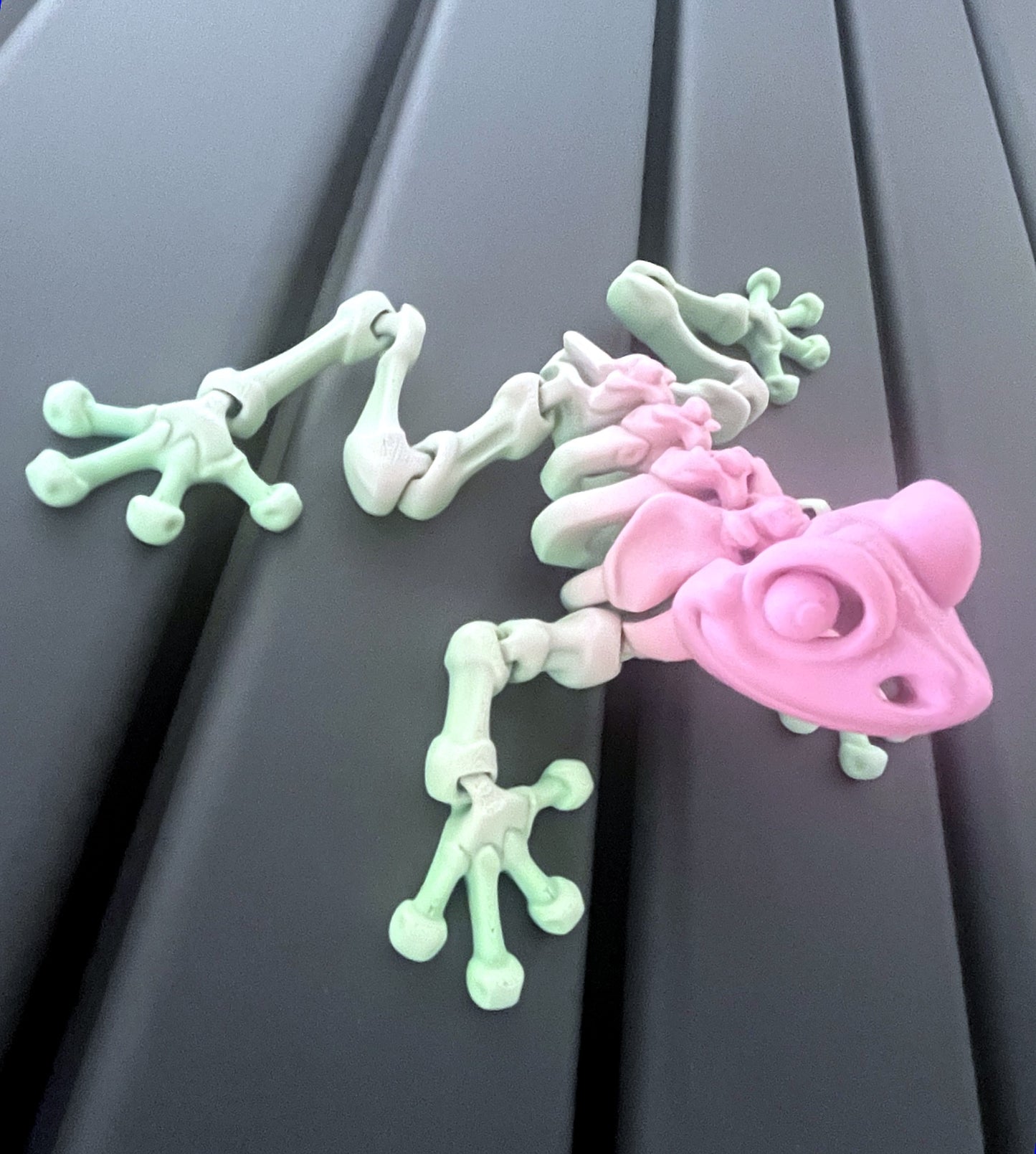 Magnetic Skeleton Frog