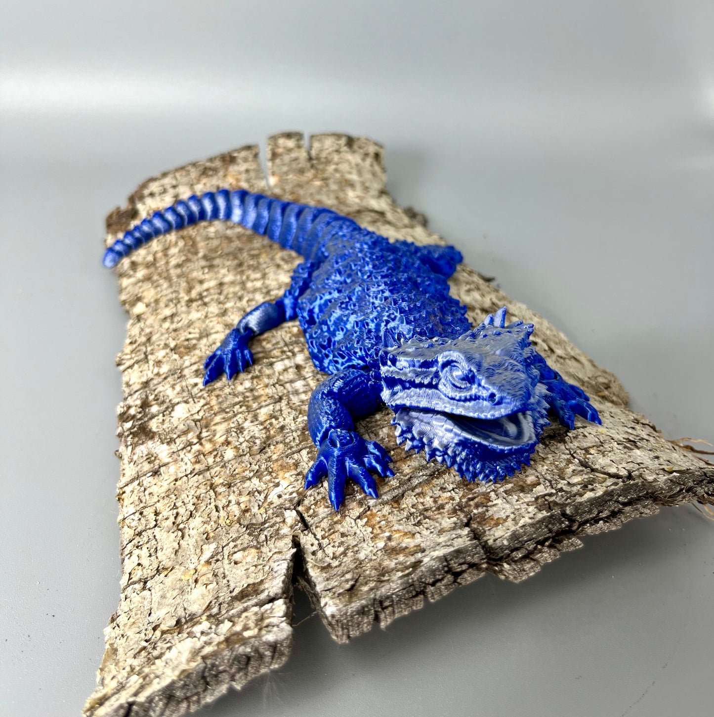 Bearded Dragon
