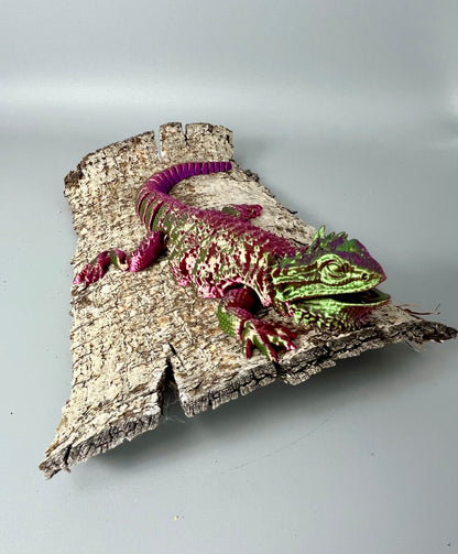 Bearded Dragon