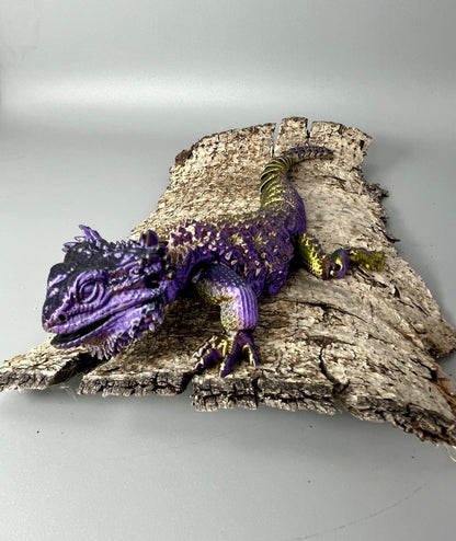 Bearded Dragon