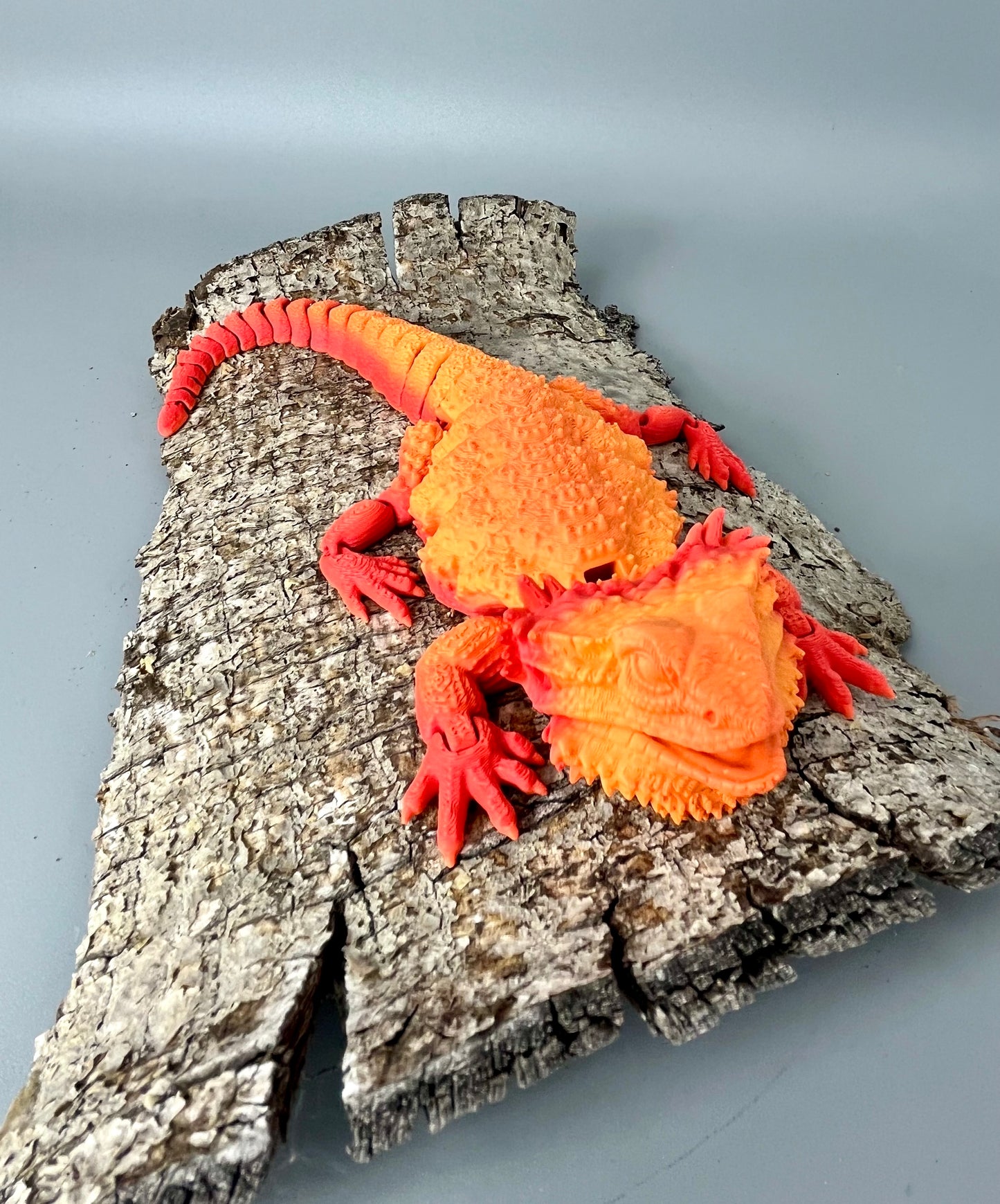 Bearded Dragon