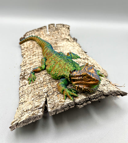 Bearded Dragon
