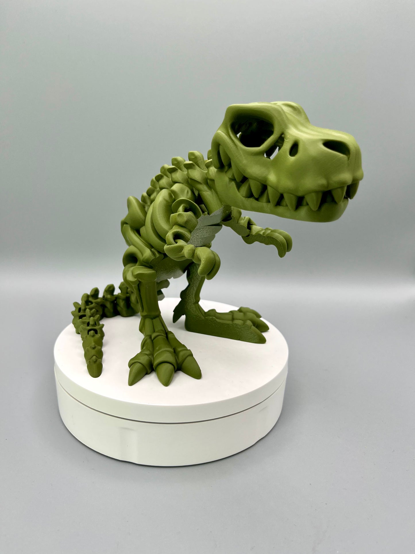 T-Rex - Large
