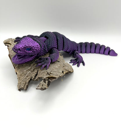 Gila Monster