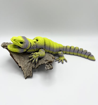 Gila Monster