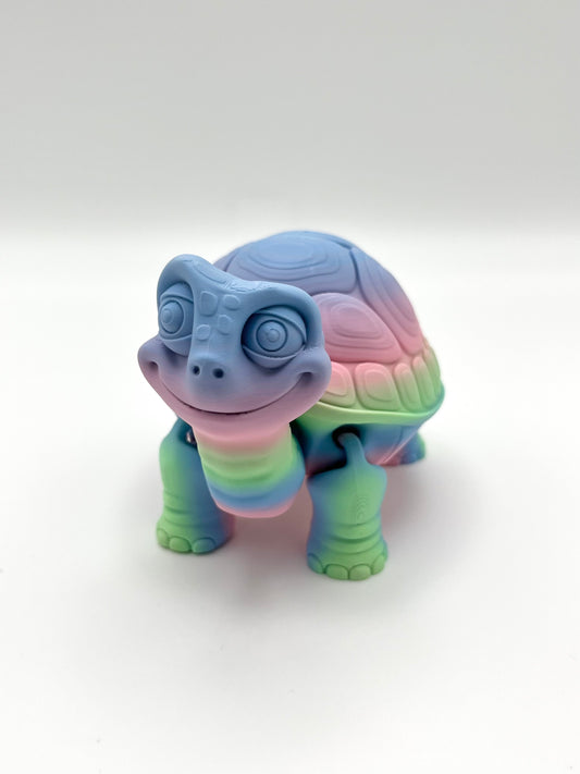 Tortoise - Large