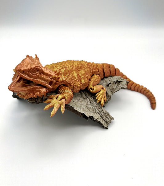 Bearded Dragon