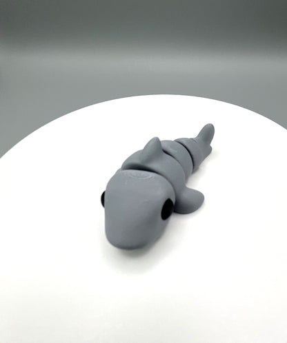 Shark Mini