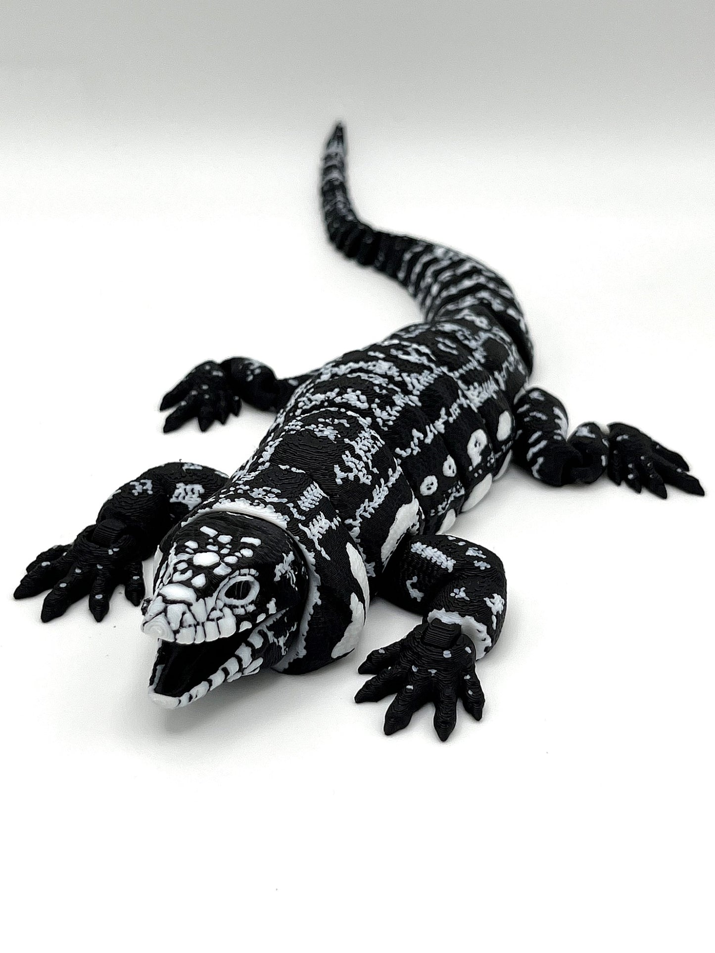 Tegu Lizard