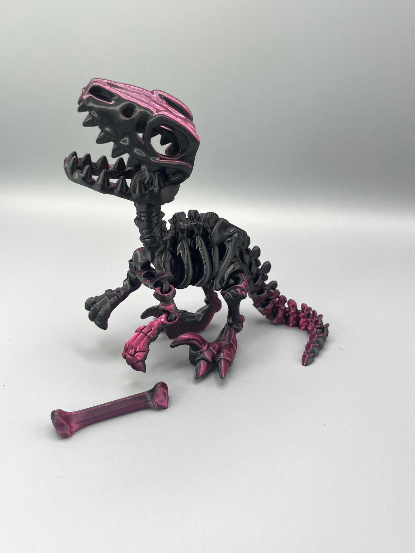 Raptor
