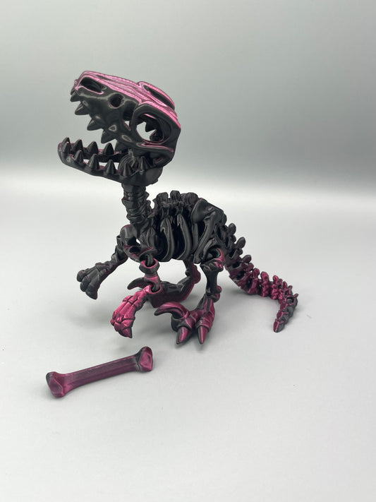 Raptor