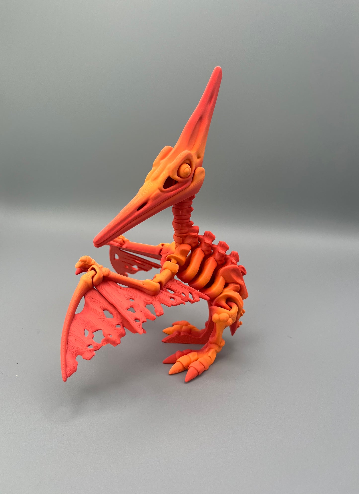 Pteranodon