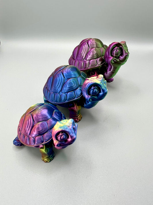 Tortoise - Large