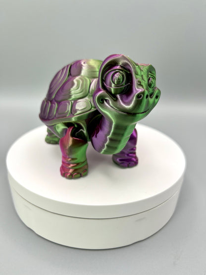 Tortoise - Large