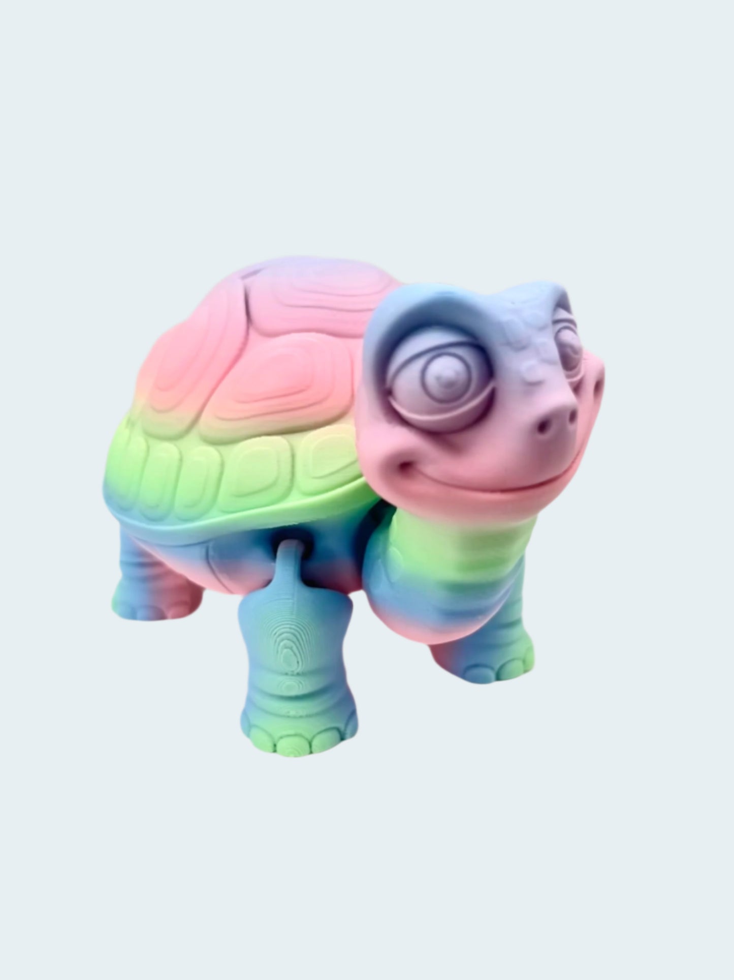 A cute 3D printed rainbow coloured tortoise with detailed face, shell and legs