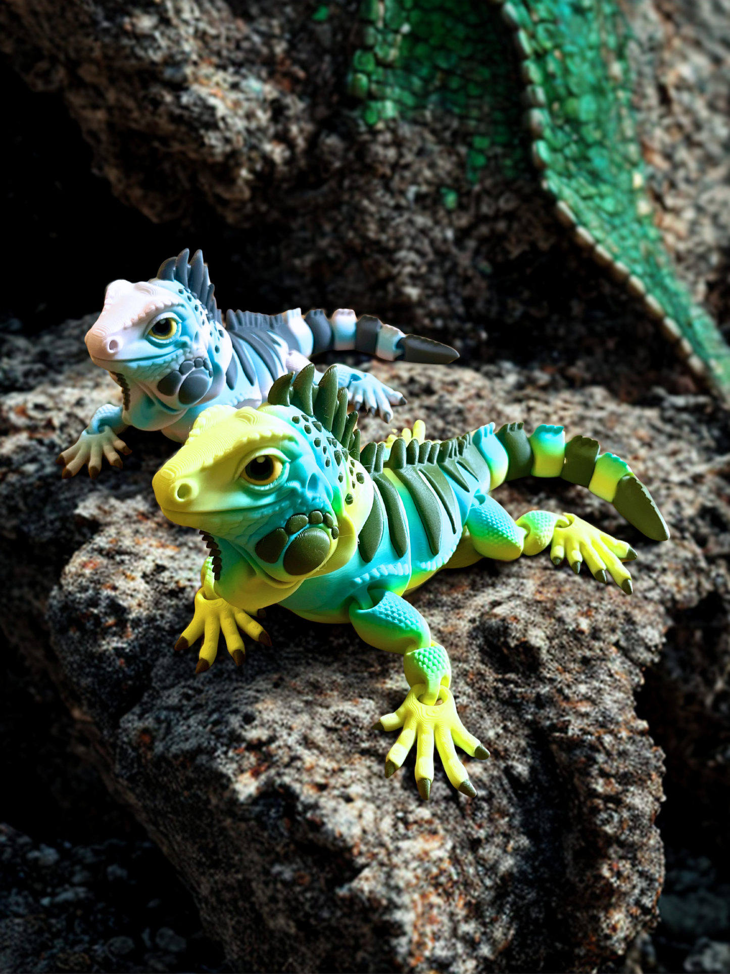 Iguana - Large